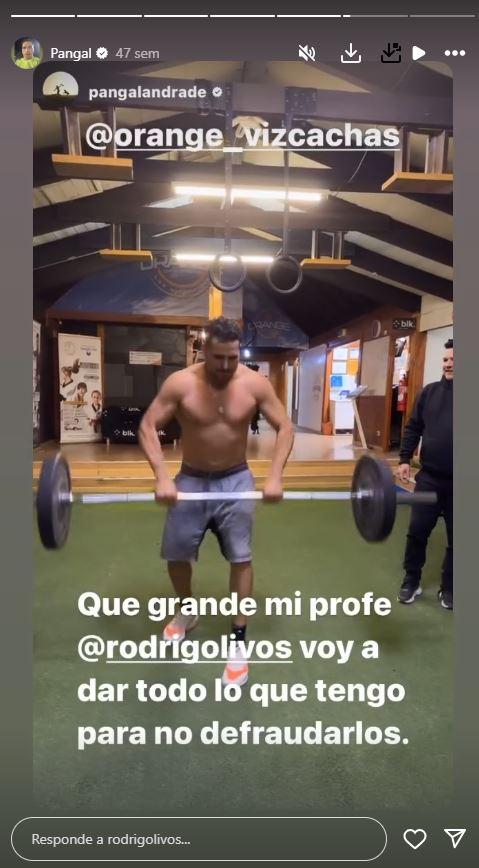 Historia de Instagram de Pangal