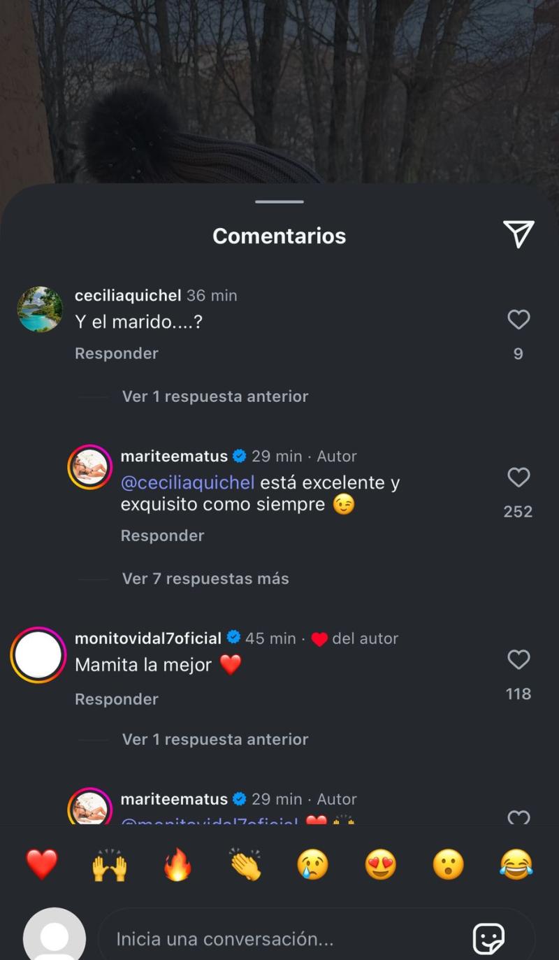 Marité Matus responde consulta sobre Camilo Huerta - Captura