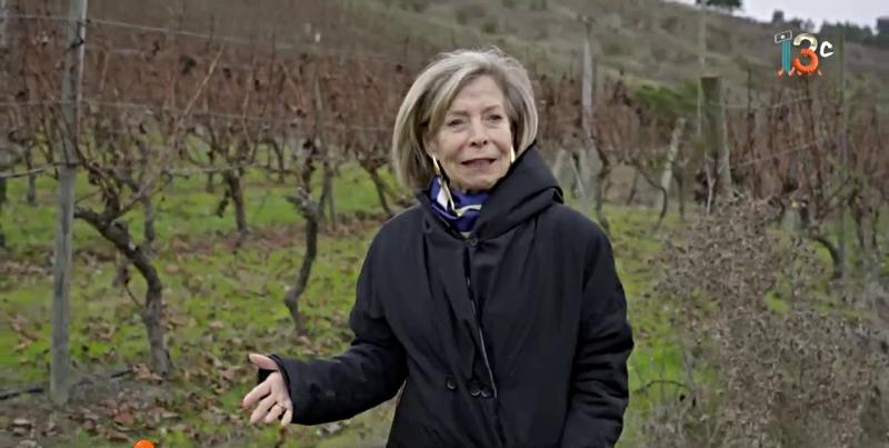 María Luz Marín, enóloga y fundadora de Casa Marín.