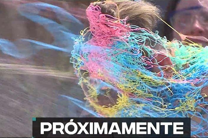 Apuntan a "Princeso" por ser un mal compañero