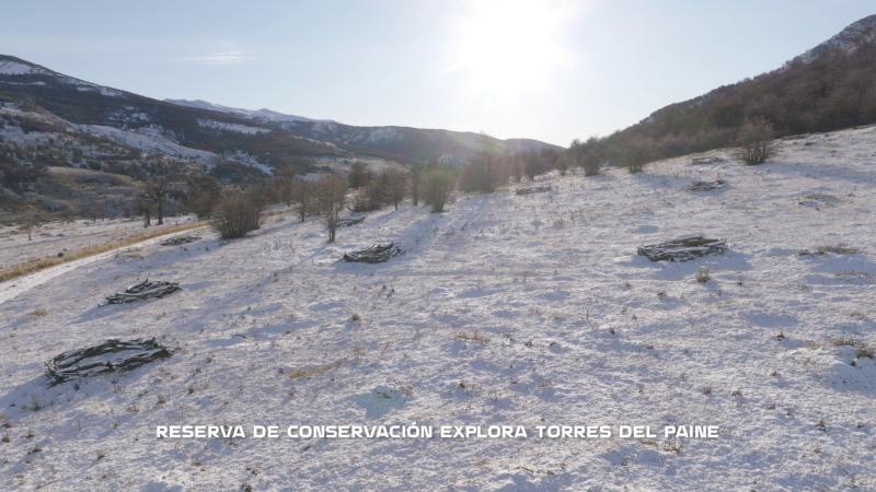 Reserva de Conservación Torres del Paine. Créditos: Factor de cambio.