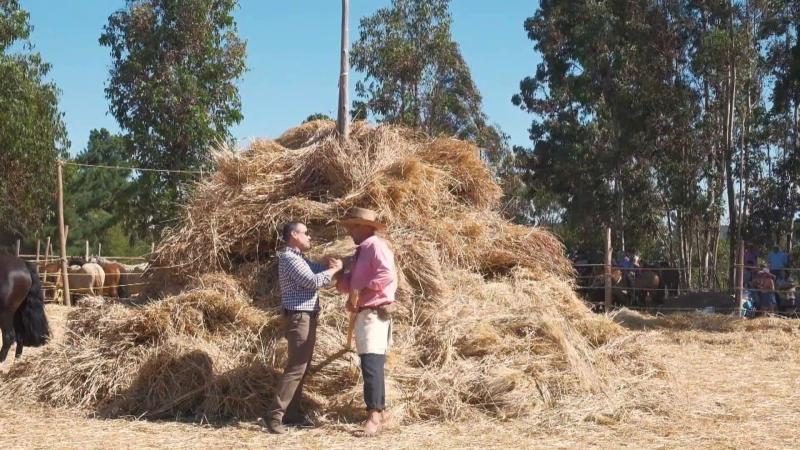 Sandro Medina nos presenta la tradición de la trilla. Créditos: 13C.