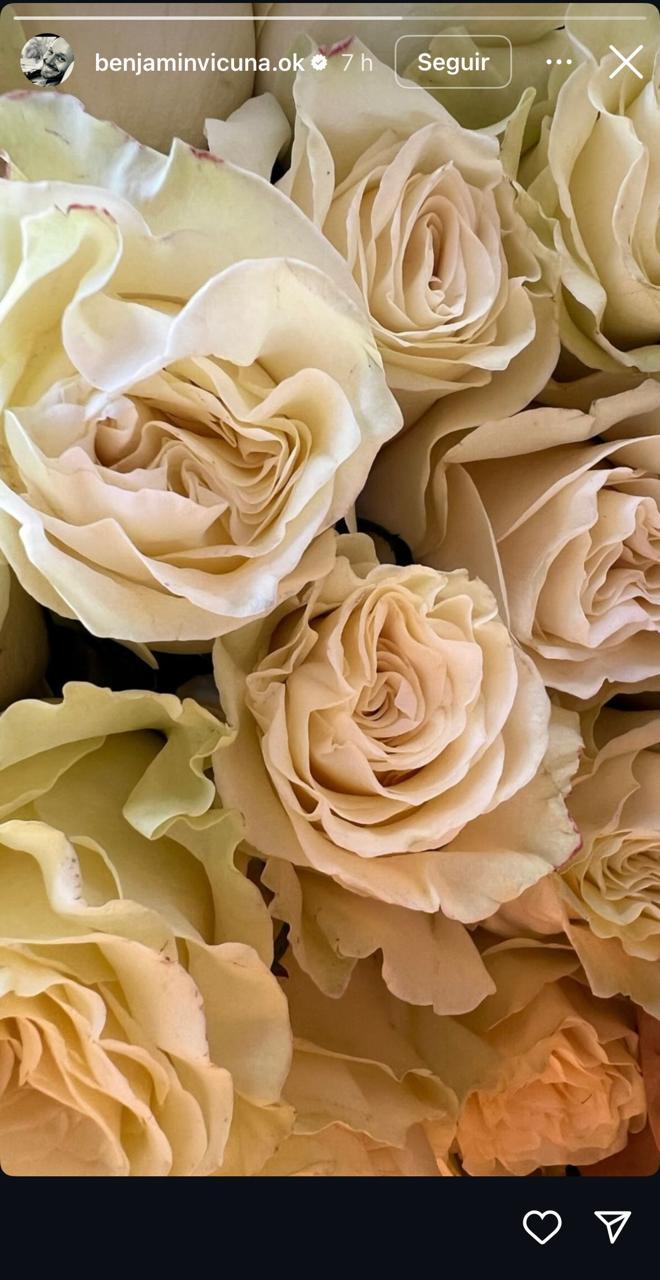 Benjamín Vicuña - Instagram.