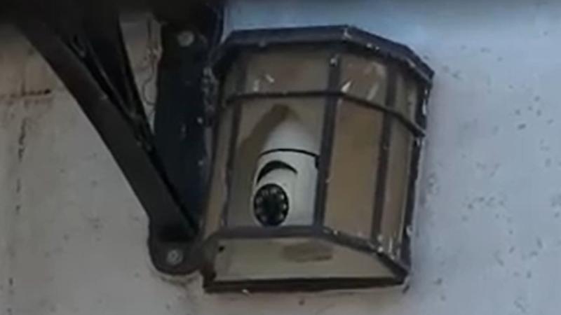 La cámara que delató a hija imputada por crimen de Rosa, la mujer encontrada en maleta en Recoleta