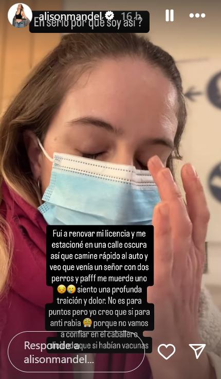 Historia de Alison Mandel | Instagram