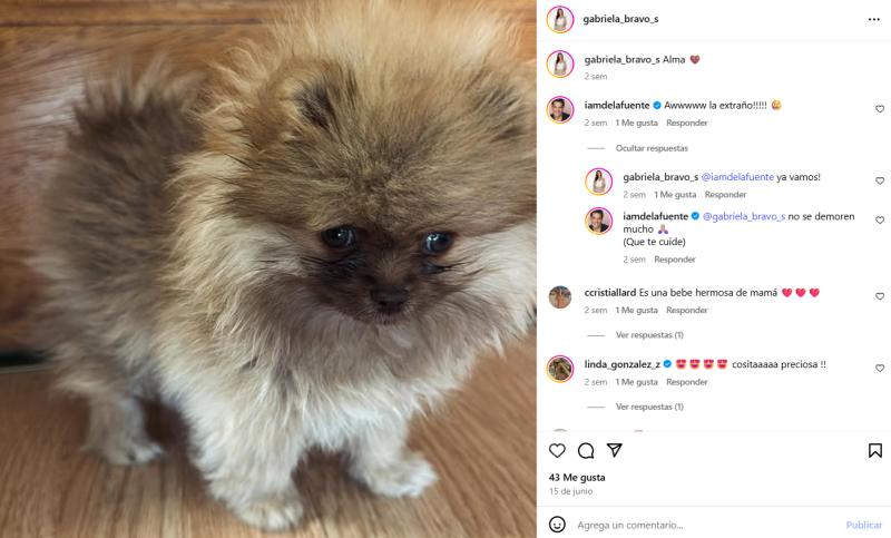 El coqueto intercambio de Gabriela Bravo y Cristián de la Fuente - Captura