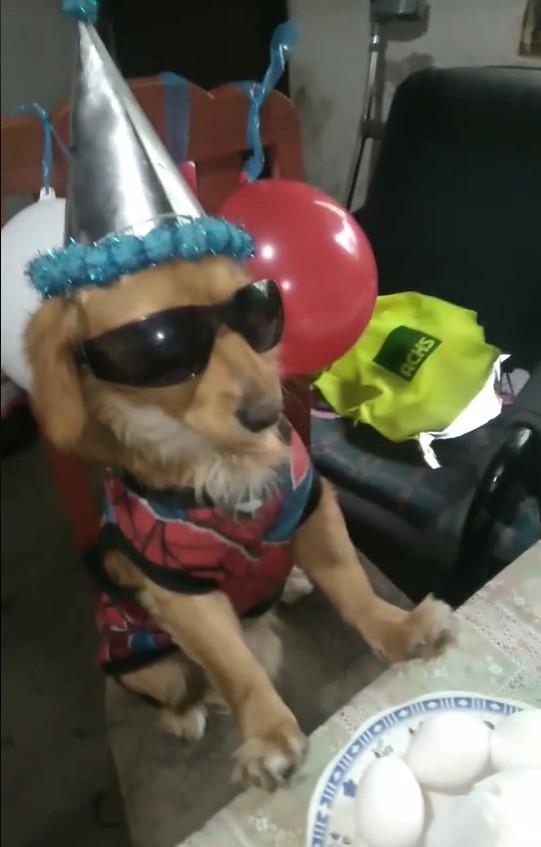 "Julio, el bakan" la rompe en Tiktok