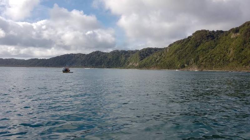 Google Maps/Renzo Sánchez - Isla Guafo, adquirida por ONG vinculada a Leonardo DiCaprio