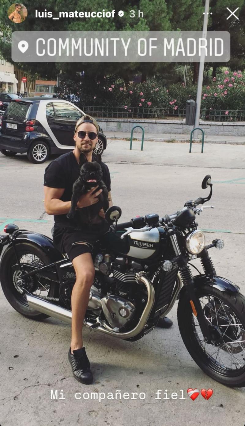 Luis Mateucci en Instagram