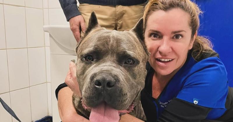 El presente de Pamela Villalba / Créditos: Instagram @pame_villalvet