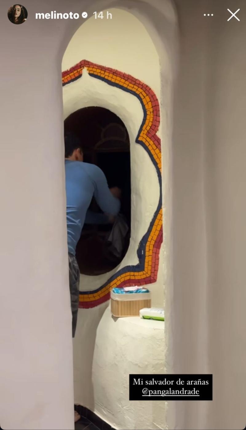 Pangal Andrade salva a Melina Noto