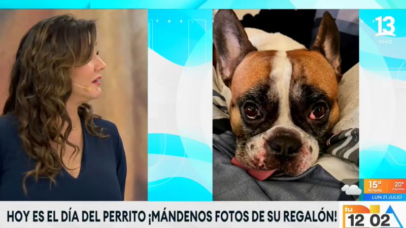 El perrito que tiene de nombre el apodo de José Luis Repenning