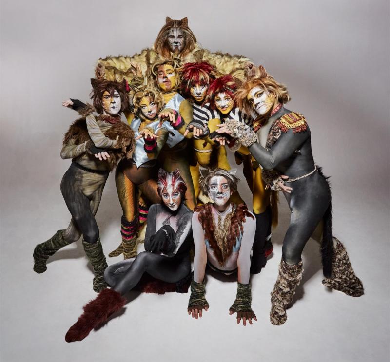 CATS: El musical más icónico del mundo llega a Chile.