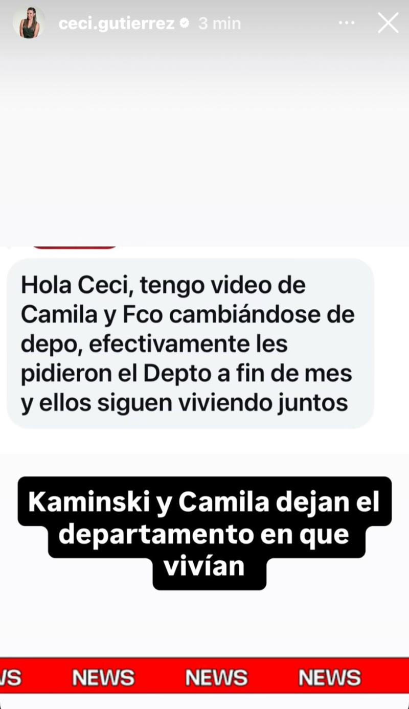 Información de Camila Andrade y Francisco Kaminski