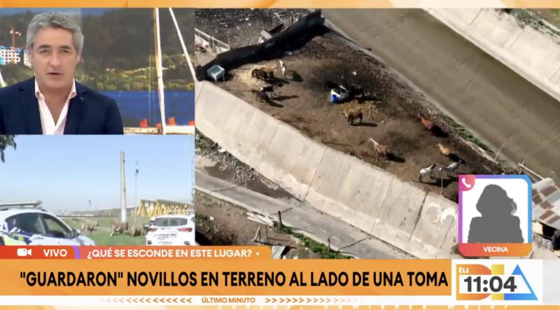 Vecinos denuncian faena ilegal de animales en Estación Central.