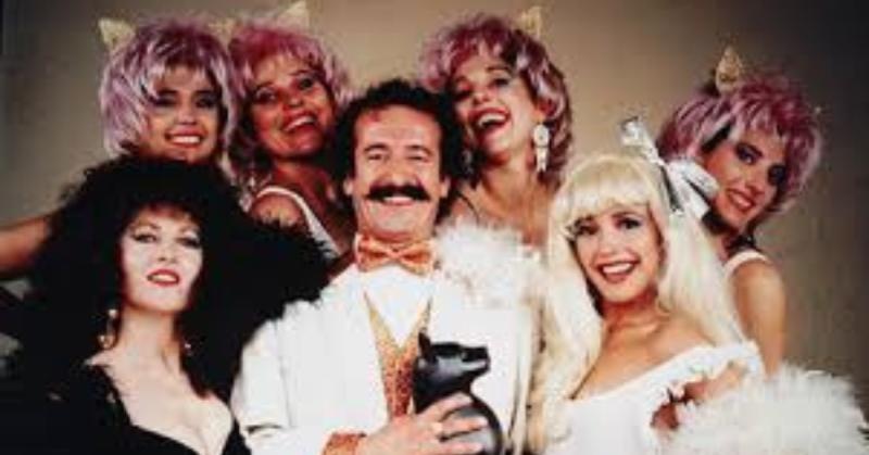 Día Internacional del Gato - El Palo al Gato