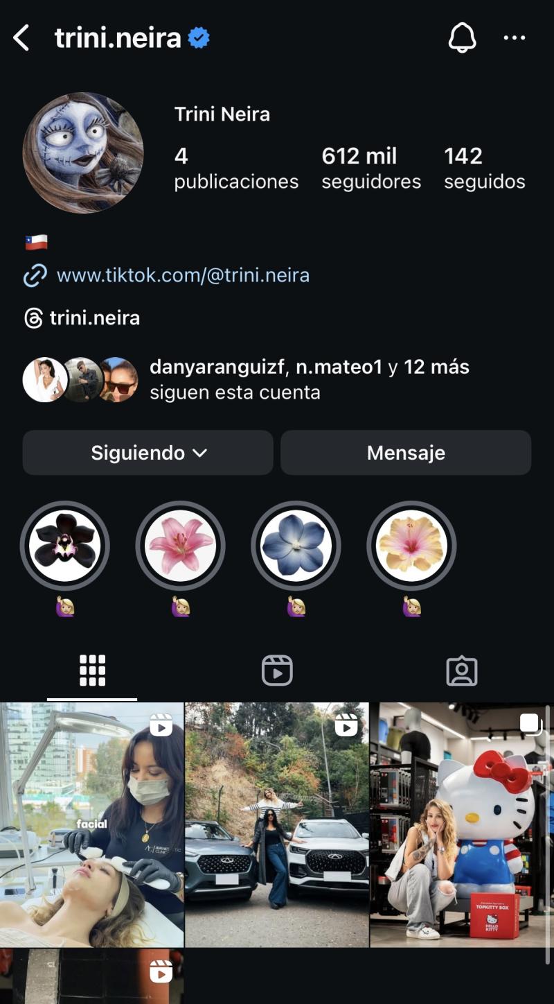 Perfil de Instagram de Trini Neira.