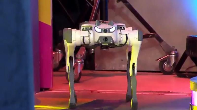 Bodby, el perrito robot de Pamela Díaz