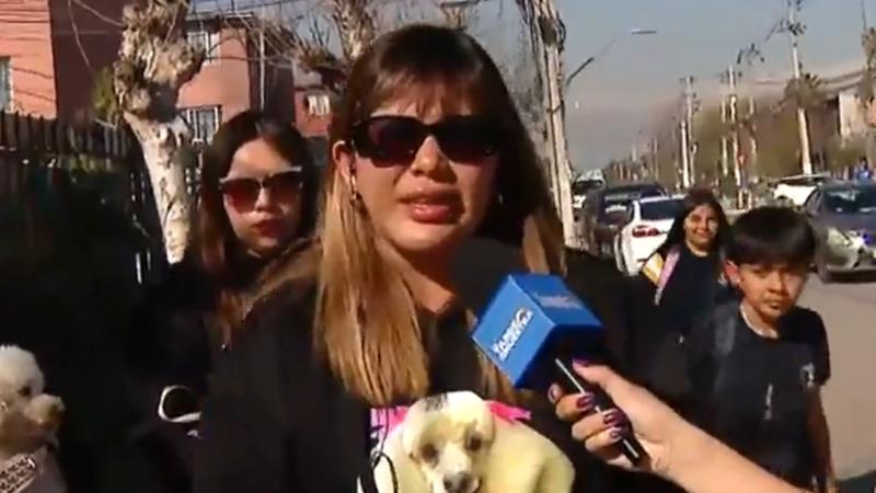 Familia contrata a vidente para encontrar a su perrita perdida en Quilicura