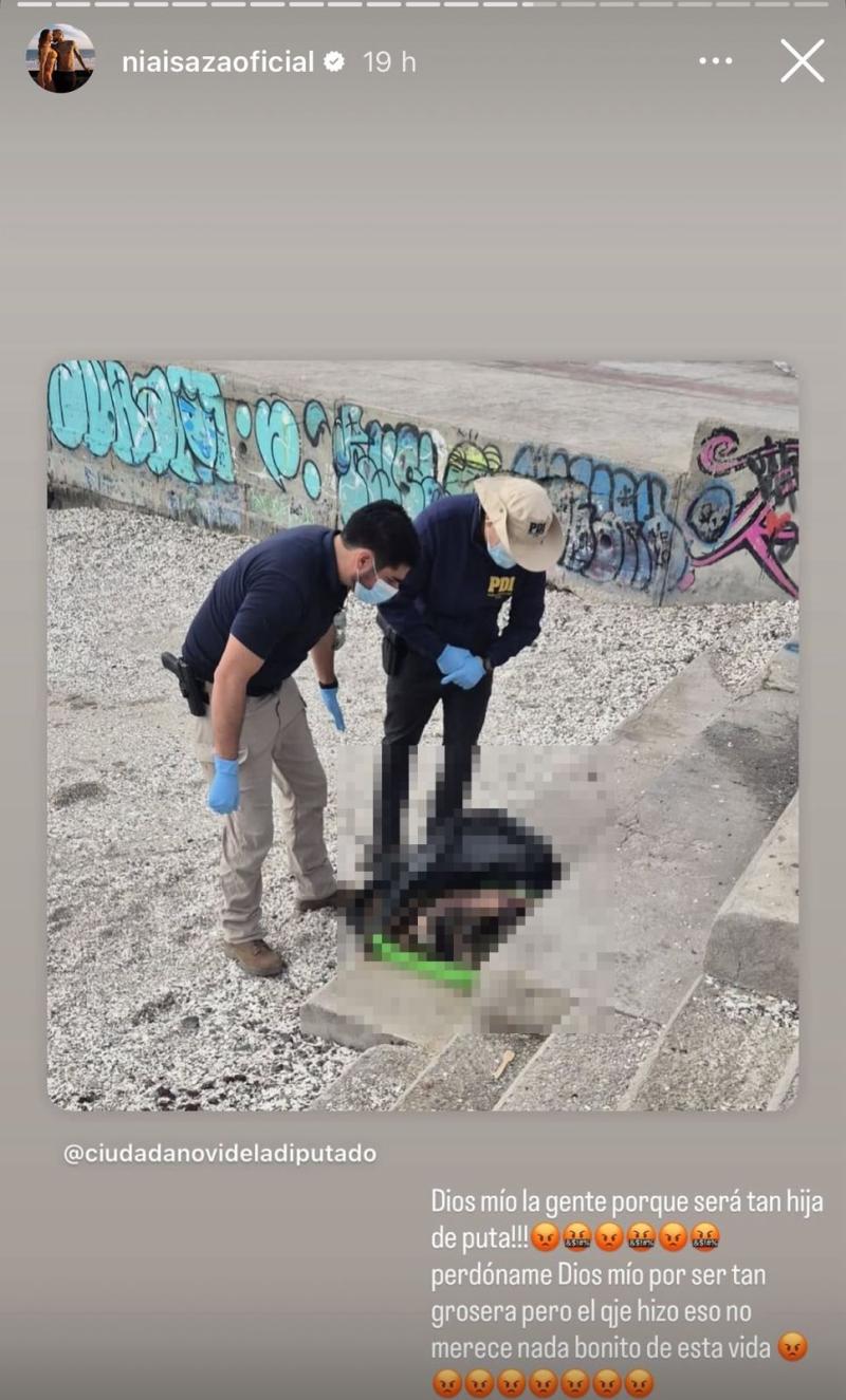 Sonia Isaza, novia de Arturo Vidal, compartió este mensaje en redes - Captura