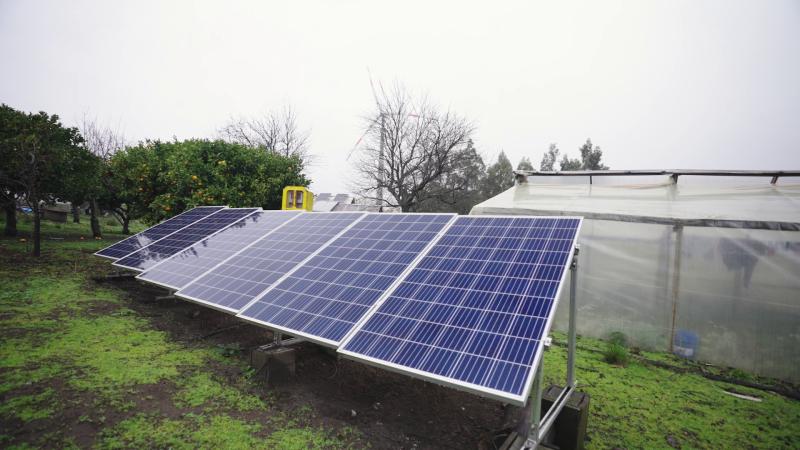 Paneles solares en Renaico. Créditos: 13C