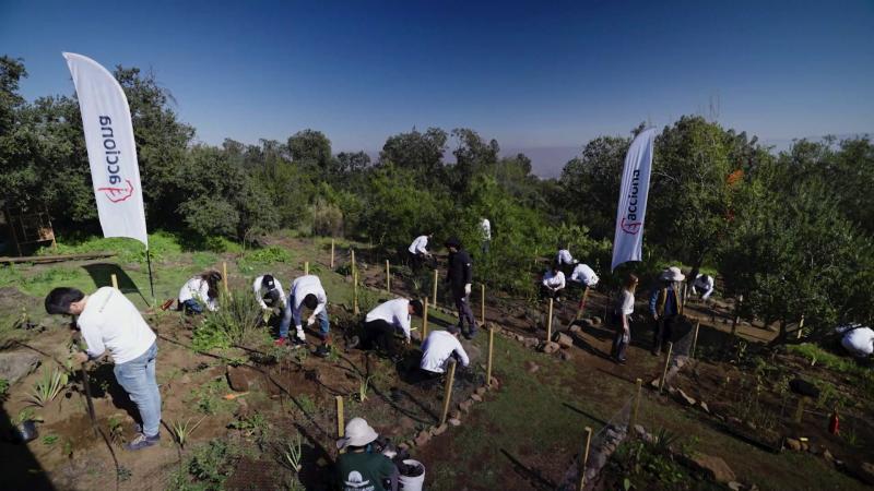 Voluntarios de plan de reforestación de Parque Mahuida. Créditos: 13C