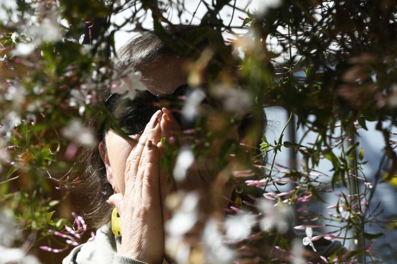 Así puedes diferenciar la rinitis de un resfrío en primavera - Agencia Uno