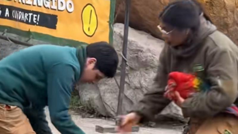 Impactante escena en Buinzoo