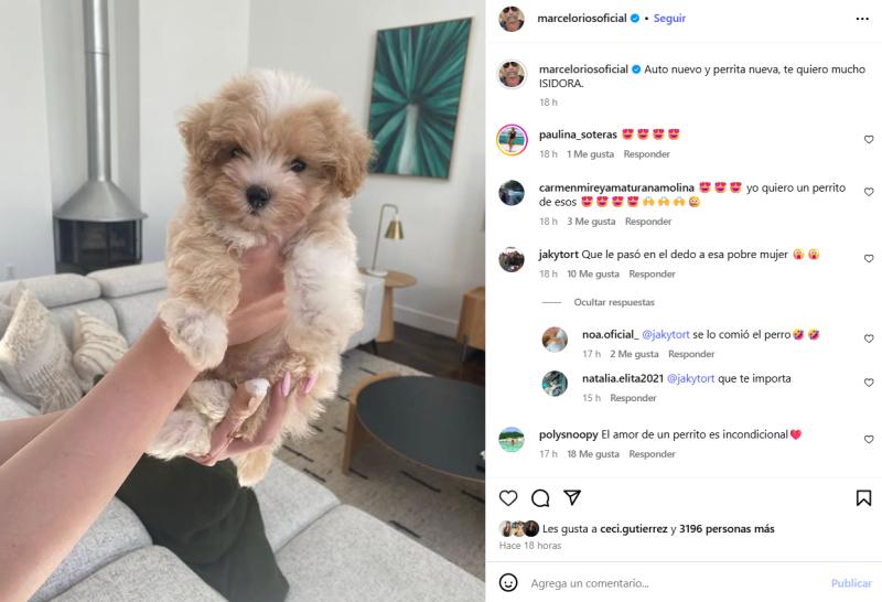 Marcelo Ríos compartió el regalo que le hizo a su hija Isidora - Instagram
