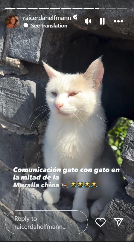 Raimundo Cerda | Instagram