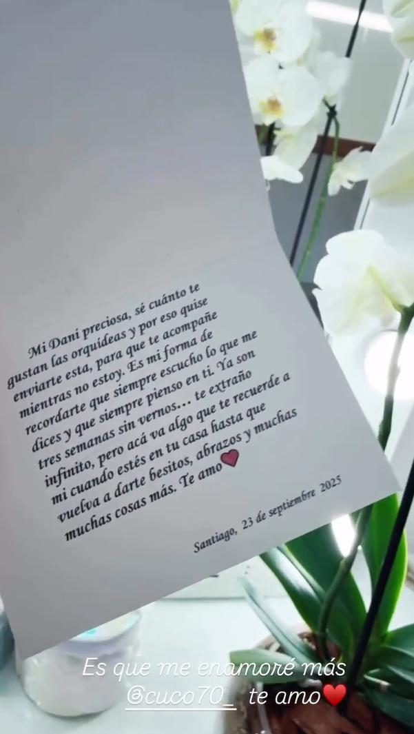 Historia de Daniela Aránguiz | Instagram