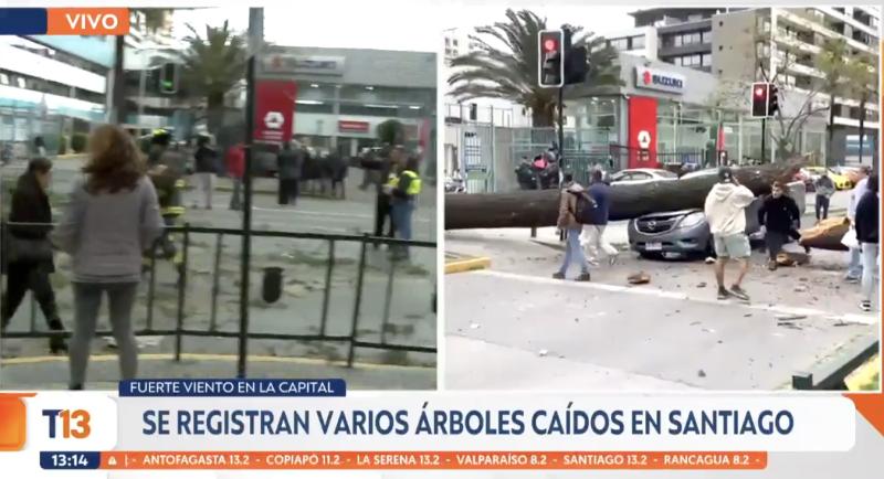 Ñuñoa: árbol cae sobre dos autos.