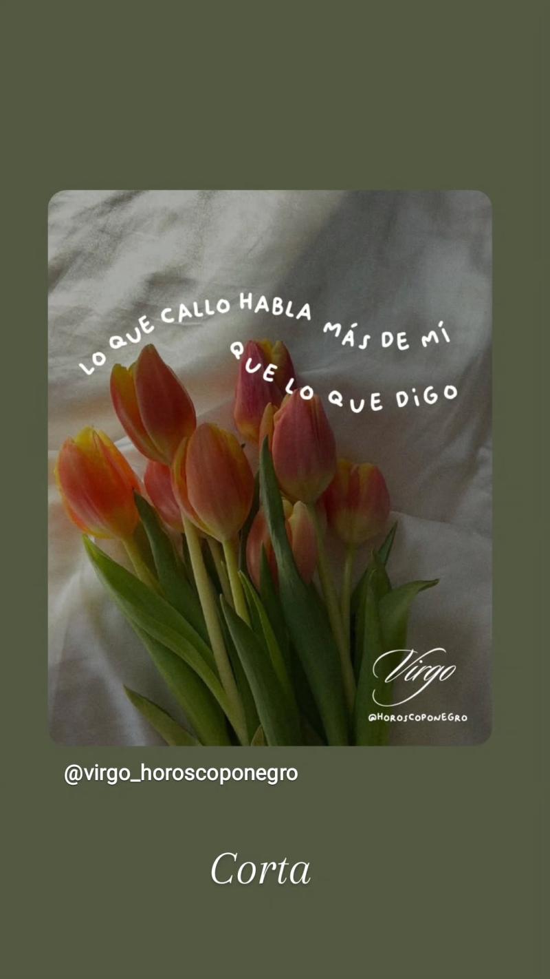 Carla Jara | Instagram