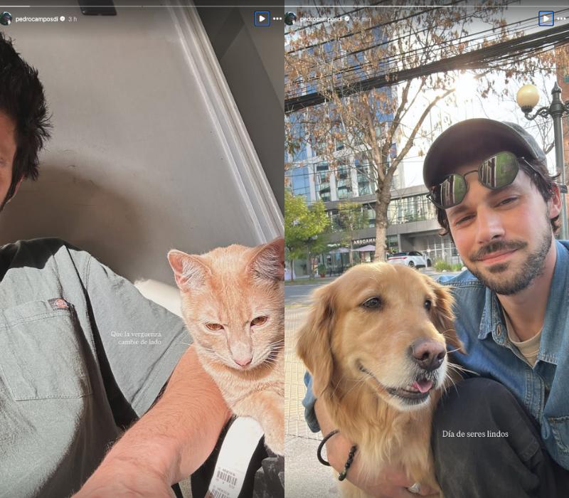 Pedro Campos - Instagram.