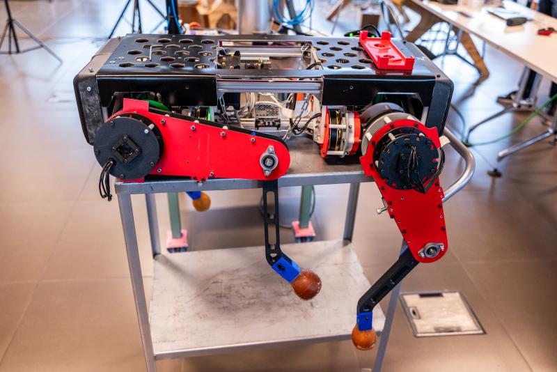 Festival de las Ciencias 2025. Créditos: MinCiencia