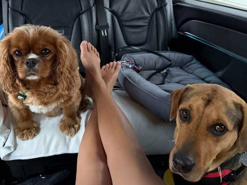 Alexandra Litvinova compartió foto con "Chapi", perrita de Alexis Sánchez - Instagram