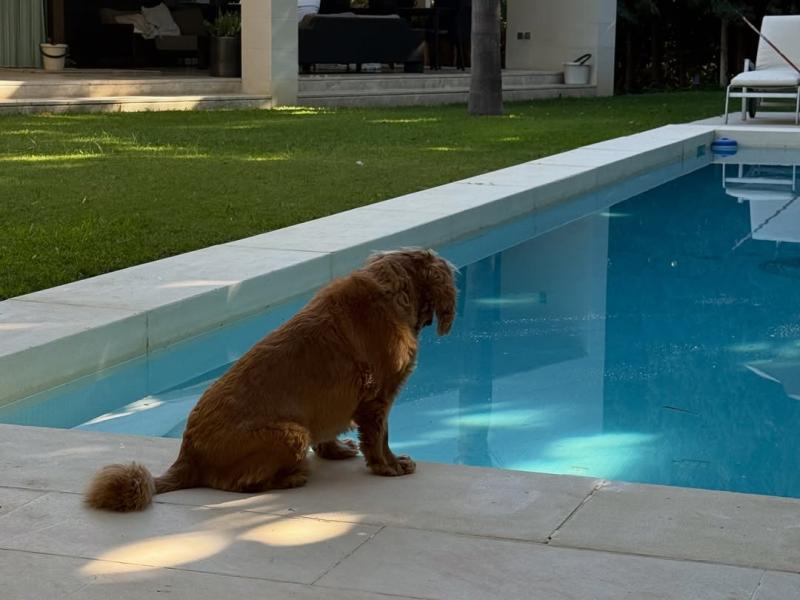 Así es la casa en donde viven Alexis Sánchez y Alexandra Litvinova - Instagram