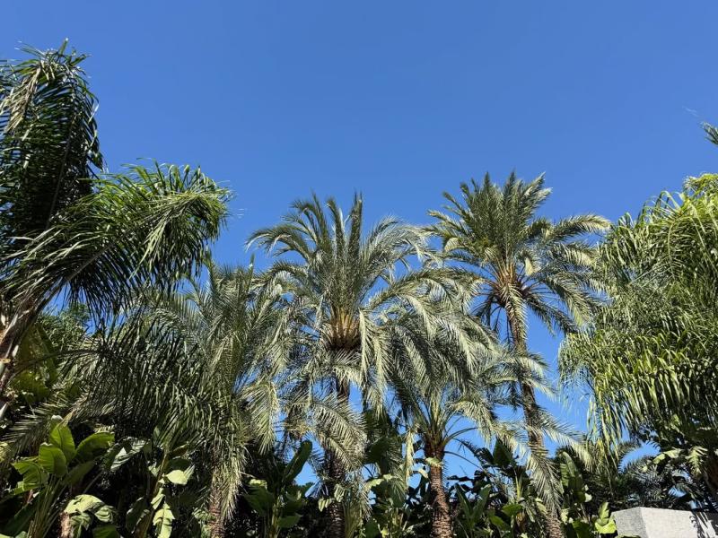 Las primeras fotos de Alexandra Litvinova en España - Instagram