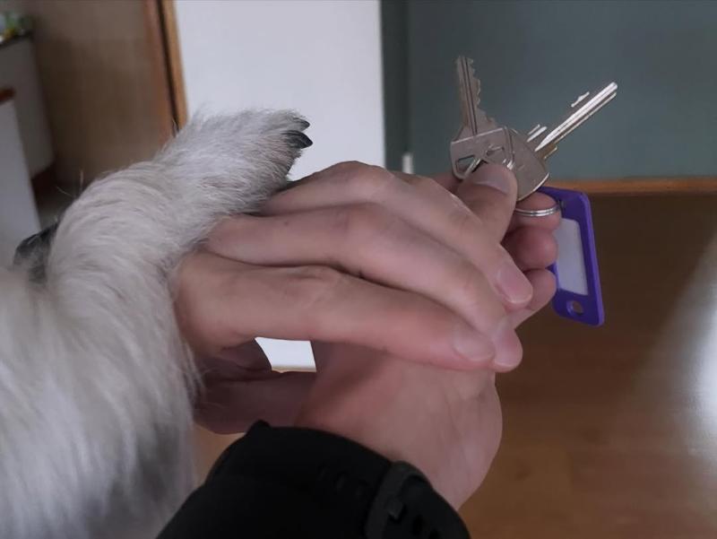 Historia de Hugo Valencia | Instagram