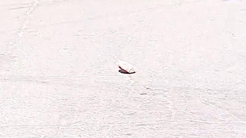 Equipo de Tu Día fue atacado con piedras