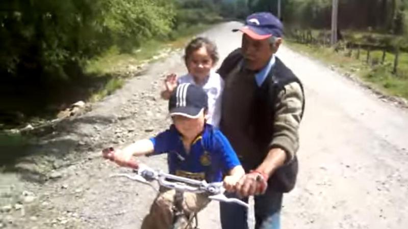 Viral de Sergio Areyuna - Captura