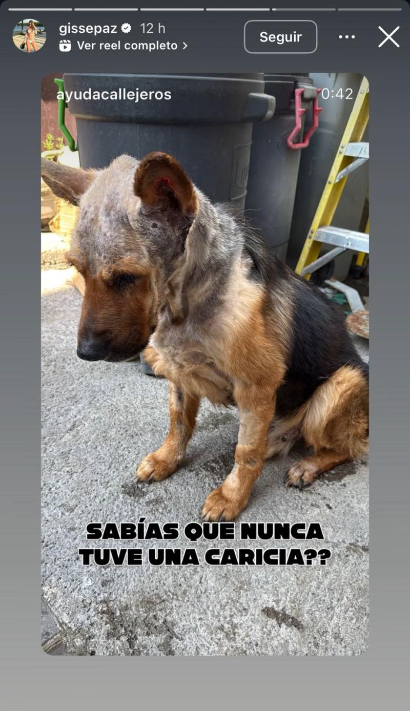 La periodista hizo un fuerte llamado a través de redes sociales - Instagram