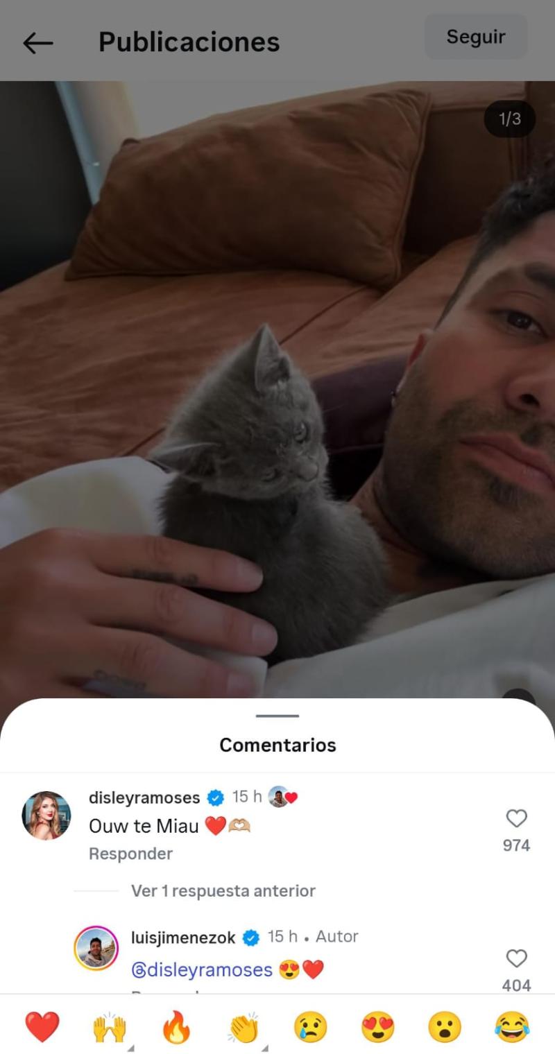 Comentario de Disley en la publicación de Luis Jiménez