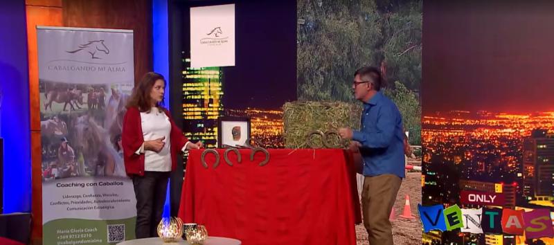 Cabalgando mi alma: Coaching con caballos.