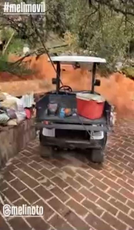 Meli Movil - Instagram de Pangal