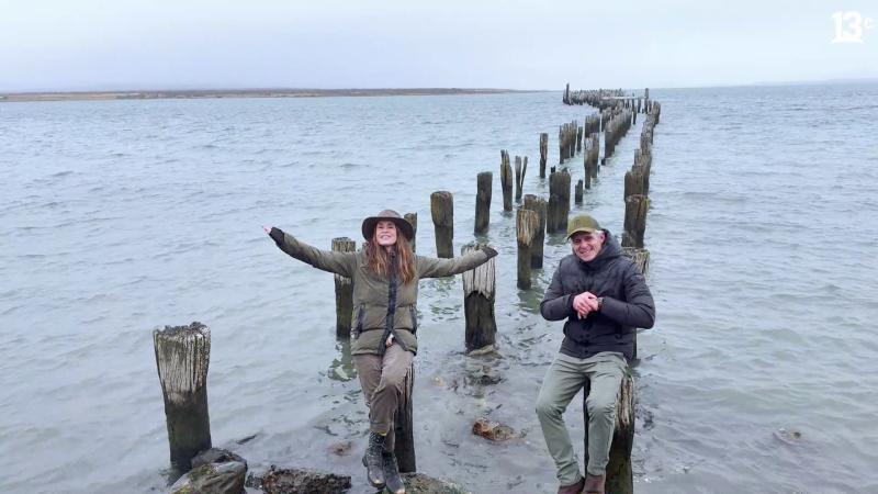 Puerto Natales. Créditos: 13C