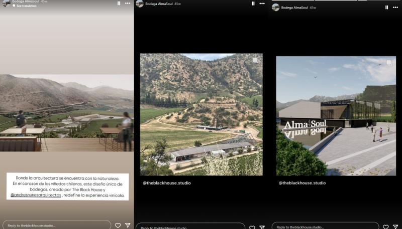 Viña de Alexis Sánchez | Instagram