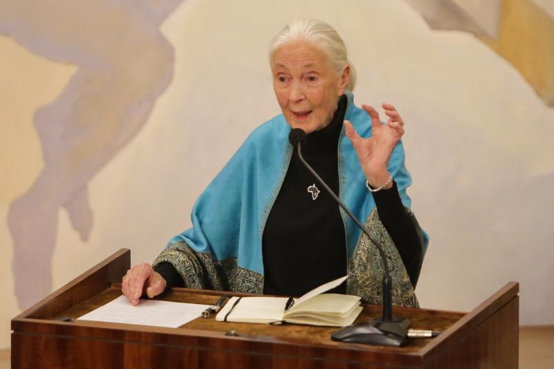 Jane Goodall. Créditos: Agencia Uno.