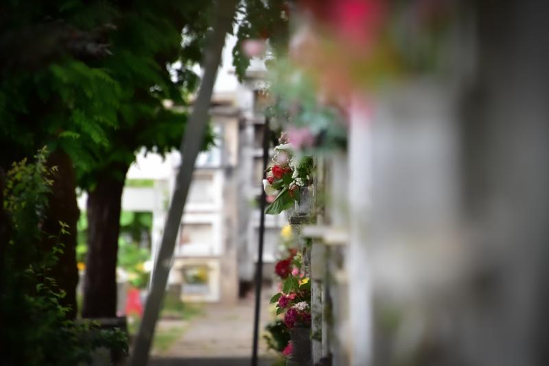 Este sábado 1 de noviembre es feriado - Agencia Uno