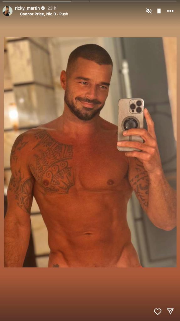 Ricky Martin/Instagram